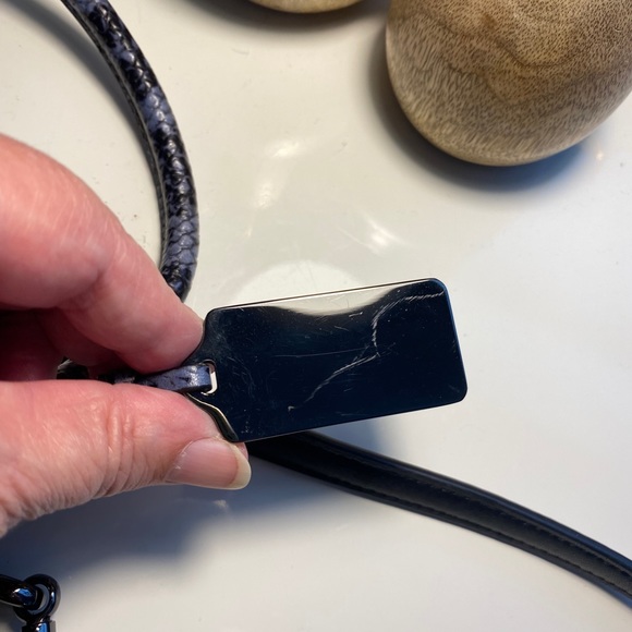 Stunning Coach Crosby - Picture 9 of 10